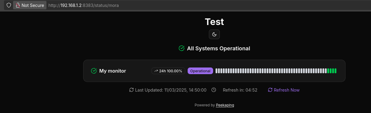Peekaping Status Pages Example