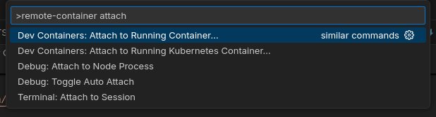 VSCode Remote Container