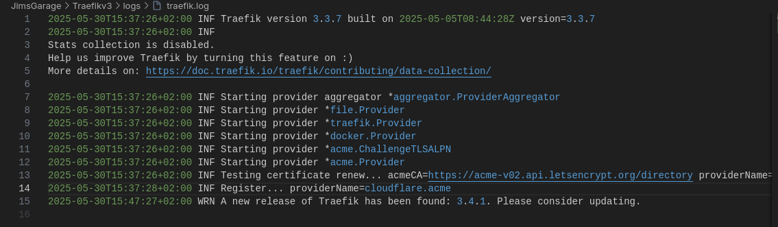Traefik Logs OK
