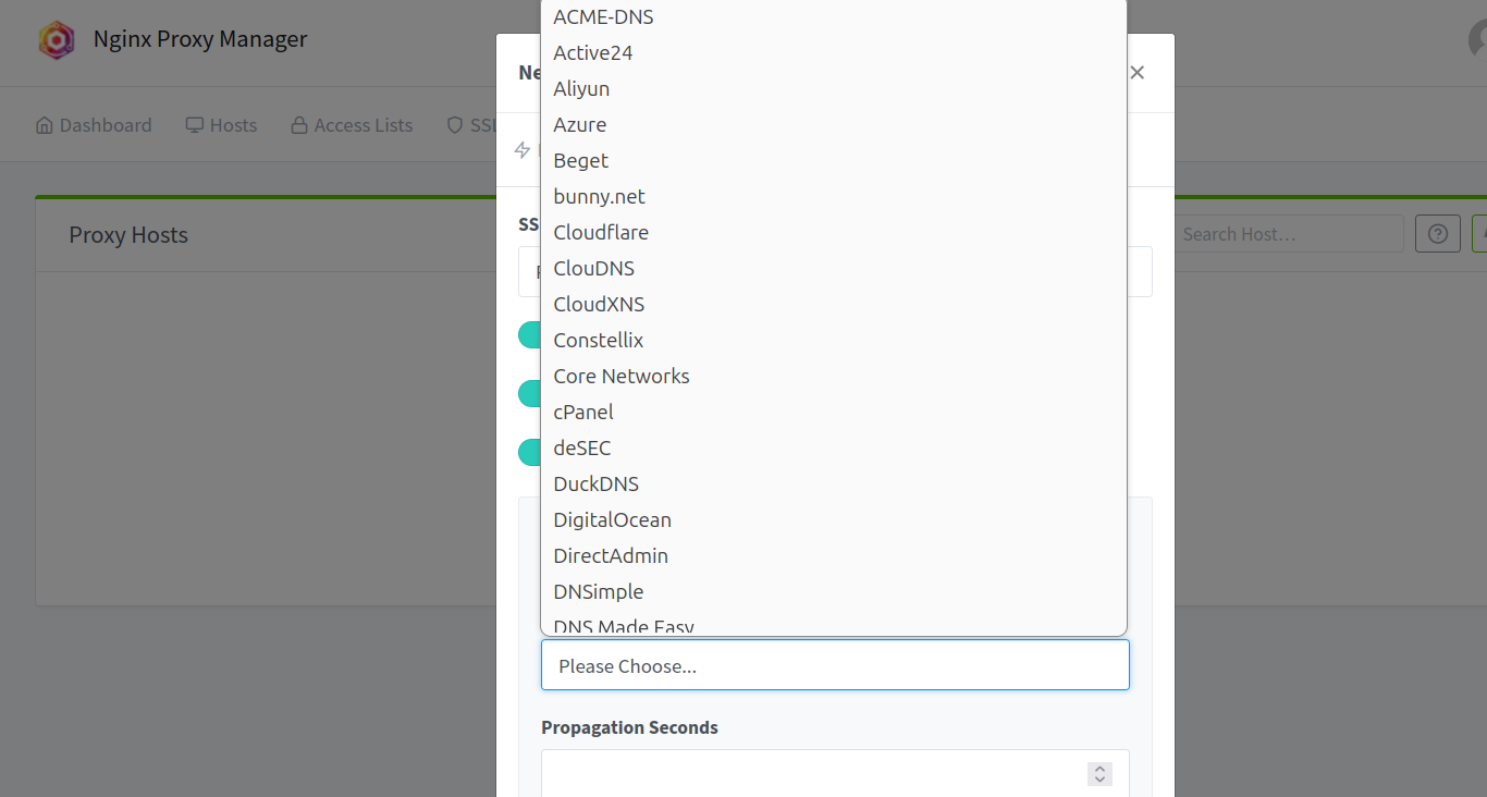 DNS Challenges