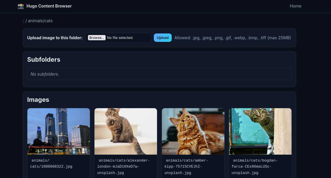 Flask WebAPP x HUGO Theme