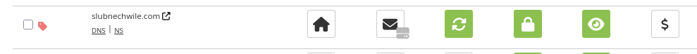 Slubnechwile domain porkbun